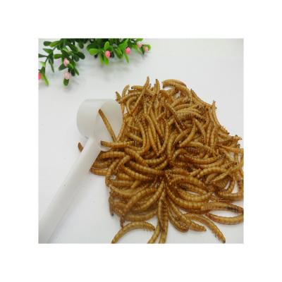 China Hot Selling Fish Bird Cat Chicken Dog Factory Manufacturing High Quality Mealworm Reptile Edible Mealworms for sale