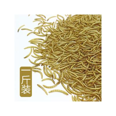 China Cat Chicken Dog Factory Direct Price Yellow Mealworm Fish Bird Separating Machine Dry Mealworm Human Edible for sale