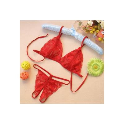 China Factory Wholesale High Quality New Design Cheap Sexy Lingeries Lace For Sex Sexy for sale