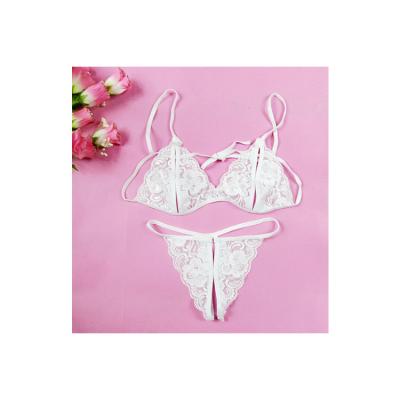 China China Supplier Hot Sale High Quality Lace Women Sexy Lingerie Panties Two Pieces Sexy Lingerie for sale