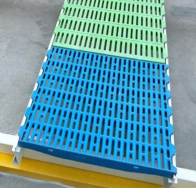 China 65x15mm Mesh Size Pig Plastic Slatted Floor for Farrowing Crate/Pig Pen Fresh Materials for sale