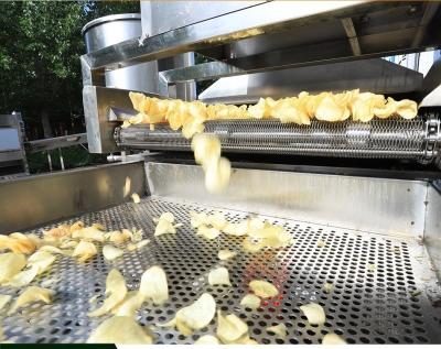 China French Fries and Potato Chips Production Line Fully Automatic Multifunctional Machine for sale