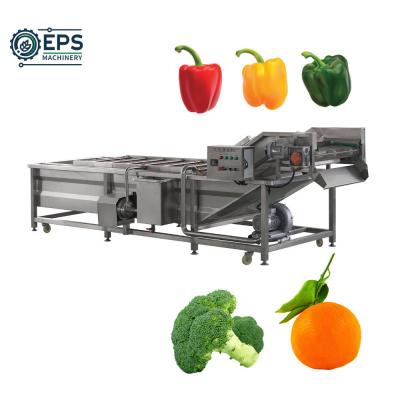 China Customized Fruit Cleaning Machine and Vegetable Washing Equipment for Cleaning for sale