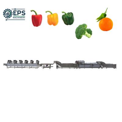 China Fully Automatic Fruit and Vegetable Washer for Food Wholesalers Meeting Your Standards for sale