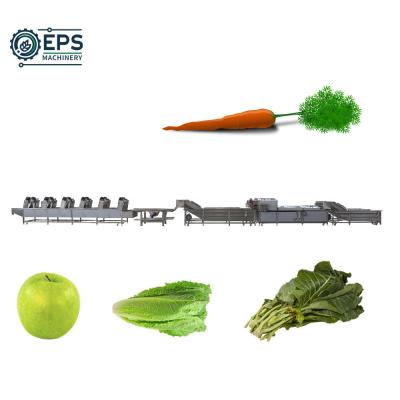 China Advanced Fruit and Vegetable Processing Equipment for Cleaning for sale