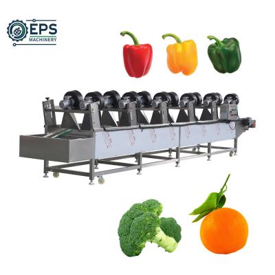 China Eddy Current Washing and Dehydrator Machine for Salad Soybean and Fruits Vegetables for sale