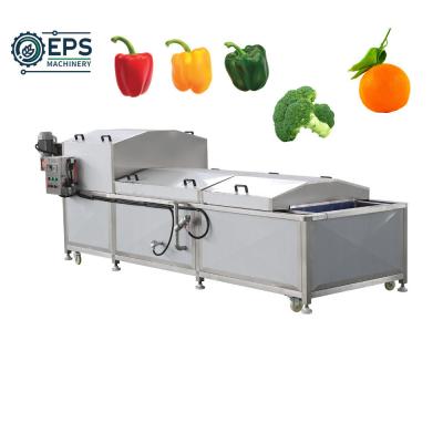 China Spinazie Groentenreiniger Ozonbellen Fruit Washer Machine voor groenten en fruit Te koop