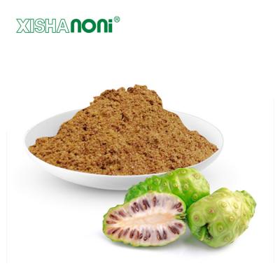 China High quality 100% pure natural noni powder noni powder OEM ODM dry noni fruit extract noni powder dry extract for sale