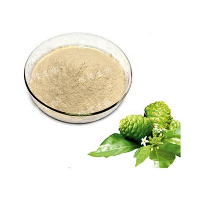 China Premium Noni Juice Powder Organic Noni Powder Extract By Pass 80 Mesh Of 100% Pure Juice Ripe Fresh Fruit 100% Enzyme Fermented Noni Powder for sale