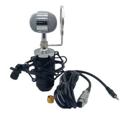 China 2020 Gooseneck Microphone BM 8000 Anti Noise Wired Karaoke Microphone Wholesale for sale