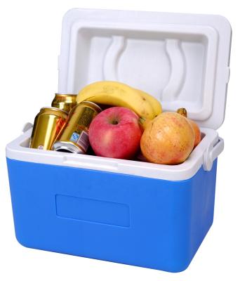 China JH106A 5L plastic cooler small box viable for picnic Silkscreen Prining for sale