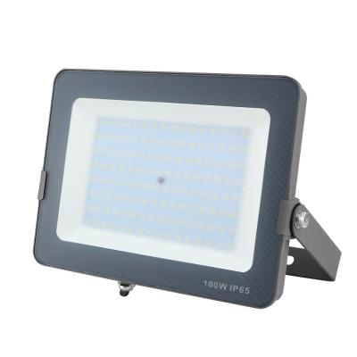 China Sports Stadiums Waterproof Good Price Outdoor IP65 100w Driverless Led Flood Light for sale