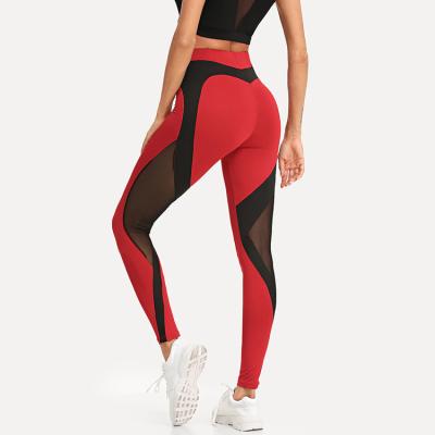 China Factory Antibacterial Women's OEM Gym Fitness Black And Red Contrast Mesh Yoga Sports Skinny Gaiters for sale