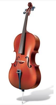 China Good Impeccable Cello Student of Prizes for sale