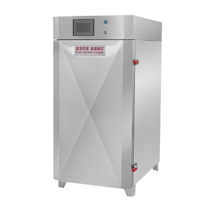 China Easy Operating Wholesale Industrial large power large capacity durian special purpose Type Quick Freezer for sale