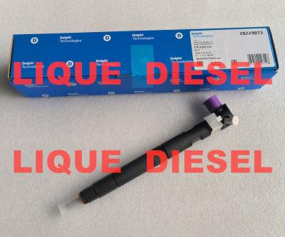 Chine 33800-4A710 28229873 DELPHI Injecteur de carburant pour le chemin de fer commun 33800-4A710 28229873 pour le véhicule Hyunda KIA 33800 4A710 338004A710 à vendre