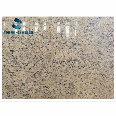 China Santa Cecilia granite slab Te koop