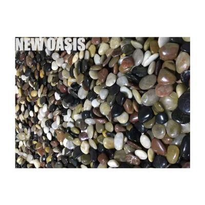 Cina Landscape Decoration Driveway Pebble River Stone  Various  mix size/color  Natural Rain Flower Cobbles & Pebbles stone in vendita