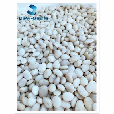 Китай Pure white color natural pebble продается