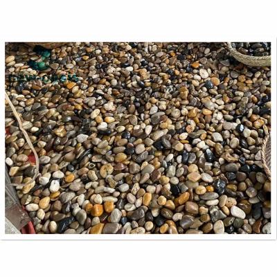 China Mix color natural river pebble en venta