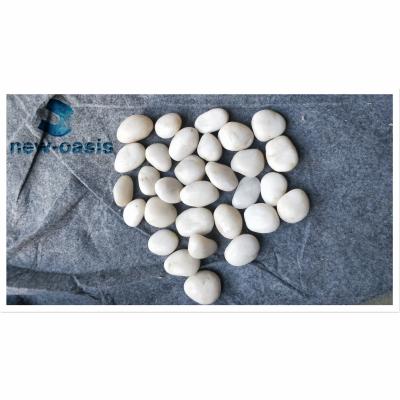 China Natural white color River pebble stone Te koop