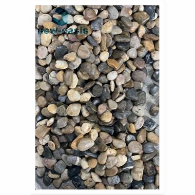 Cina Pure white color natural pebble in vendita