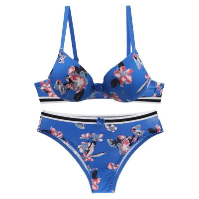 China New style QUICK DRY lift up daily panties and bra sets cinch BCDE cup floral underwear for women plus size lingerie for sale