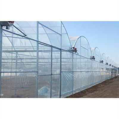 China High Quality Agriculture Film Hydroponic Planting Greenhouses For Garden Breeding for sale