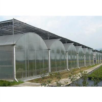 China Good Quality Agriculture China Hydroponic Planting Agricultural Greenhouses for sale