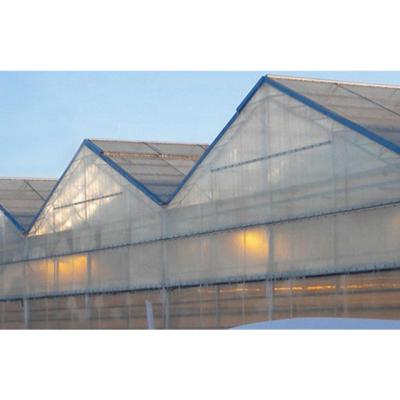 China Hydroponic Agriculture Planting Over 20 Years Poly Tunnel Greenhouse Manufacturer For Agricultural For Sale for sale