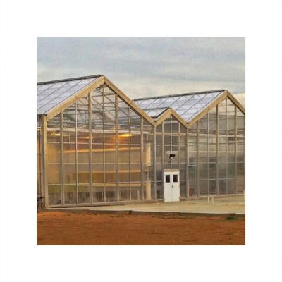 China Hydroponic Agriculture Planting More Than 20 Years Manufacturing Industrial Agricultural Greenhouses For Sale for sale