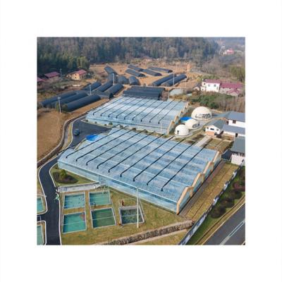 China Hydroponic Agriculture Planting More Than 20 Years Manufacturing Agricultural UV Protection Greenhouses For Sale for sale