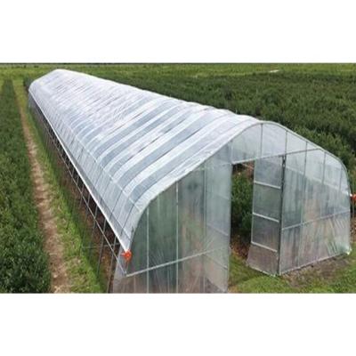 China Good Quality Glass Film Structure Vegetable Flowers Fruits Strong Small Solar Greenhouse Trade for sale