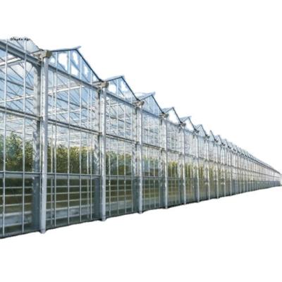 China Intelligent DINGKE Agriculture Hydroponic Planting Agricultural Glass Greenhouse With Control System for sale