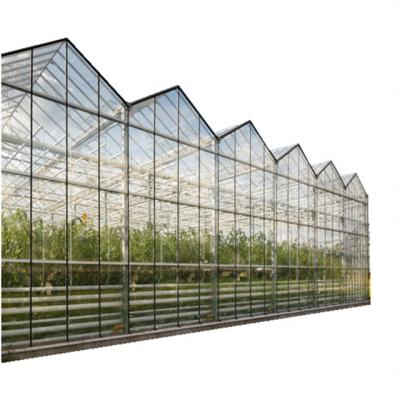 China DINGKE Agriculture Small Hydroponic Planting Glass Passive Solar Greenhouses With Best Price for sale