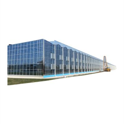 China Agriculture China Price Greenhouse Manufacture Good Hydroponic Planting Greenhouse for sale