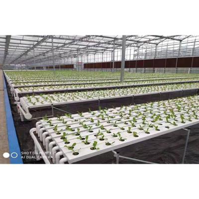 China Agriculture House Panels Hydroponic Planting Intelligent Hydroponic Greenhouse for sale