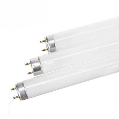 China T5 Fluorescent Plant Growth Lamp Fluorescent Grow Tube Light Lamp For Hydroponic Plant Growth for sale