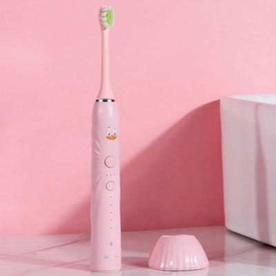 China Small Battery Powered Electric Smart Toothbrush Cleaning Electric Toothbrush Battery For Kids for sale