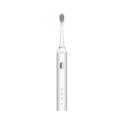 China Battery Operated Teeth Whitening 360 Waterproof Electric Travel and Portable Toothbrush for sale