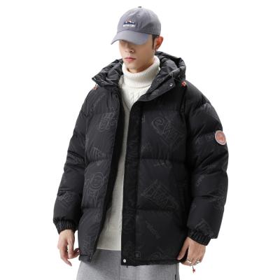 China Reversible Down Jacket Male Fashion Casual Warm Jacket White Duck Down Short Warm Men's Clothing for sale