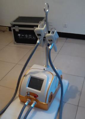 China 2 Cyo Handles Skin Care Fat Loss Cryolipolysis Slimming Machine To Weight Loss for sale