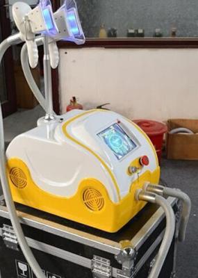 China Non Invasive Skin Tighten Cryolipolysis Slimming Machine According to FDA standard for sale