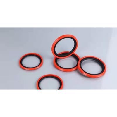 China China Professional High Temperature Resistant Cylinder Seal Custom Size for sale