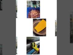 Ceres sponge