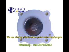 1/4 Pressure Resistance Pulse Valve Diaphragm with Long-lasting Performance