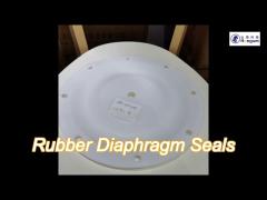 Rubber Diaphragm Seals rubber diaphragm and rubber valve For Diaphragm Pump