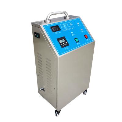 China Water Disinfection China Ozoner 10g Swimming Pool Water Treatment Ozone Generator for sale