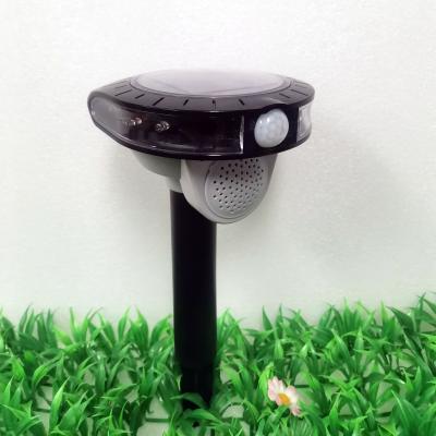 China Sustainable High Efficient Outdoor Solar Animal Sonic Wave Reflector Bird Hunter Device for sale