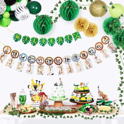 China Festival Decoration Safari Jungle Ivy Garland Wild One Banner Birthday Party Decor 1 Year Birthday Photo Banner Decoration for Kids Boys for sale